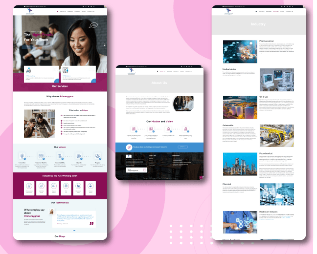 primesygnus.com - Website Design - WP-Entry